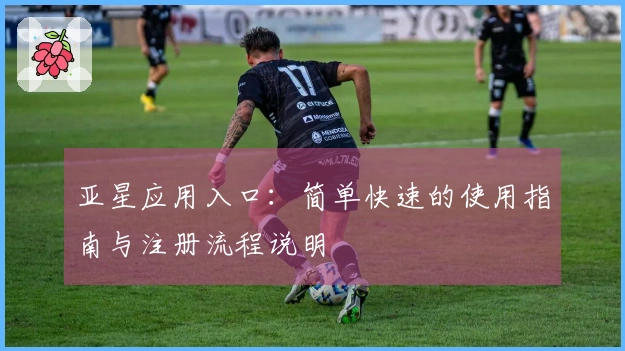 亚星应用入口：简单快速的使用指南与注册流程说明