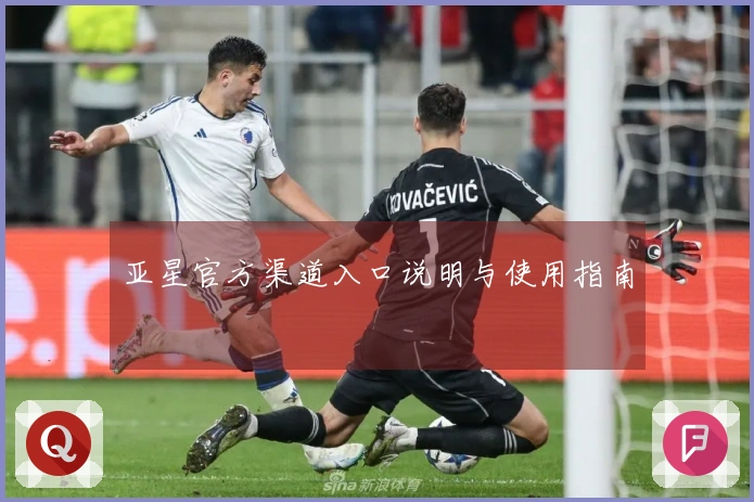 亚星官方渠道入口说明与使用指南